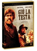 Giù la testa