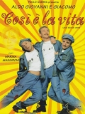 Così è la vita